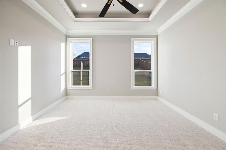 Carpeted spare room featuring a tray ceiling, ceiling fan, and a healthy amount of sunlight