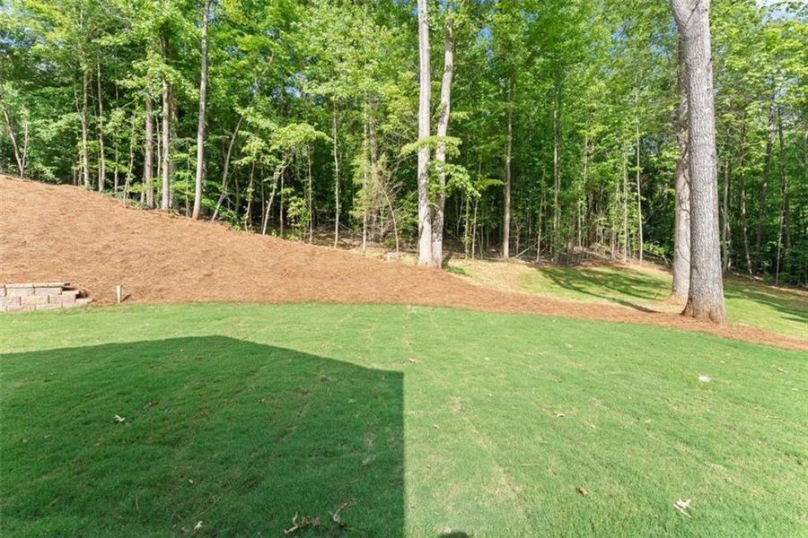 Natural landscape and outdoor views near  in Maysville (Image 63).