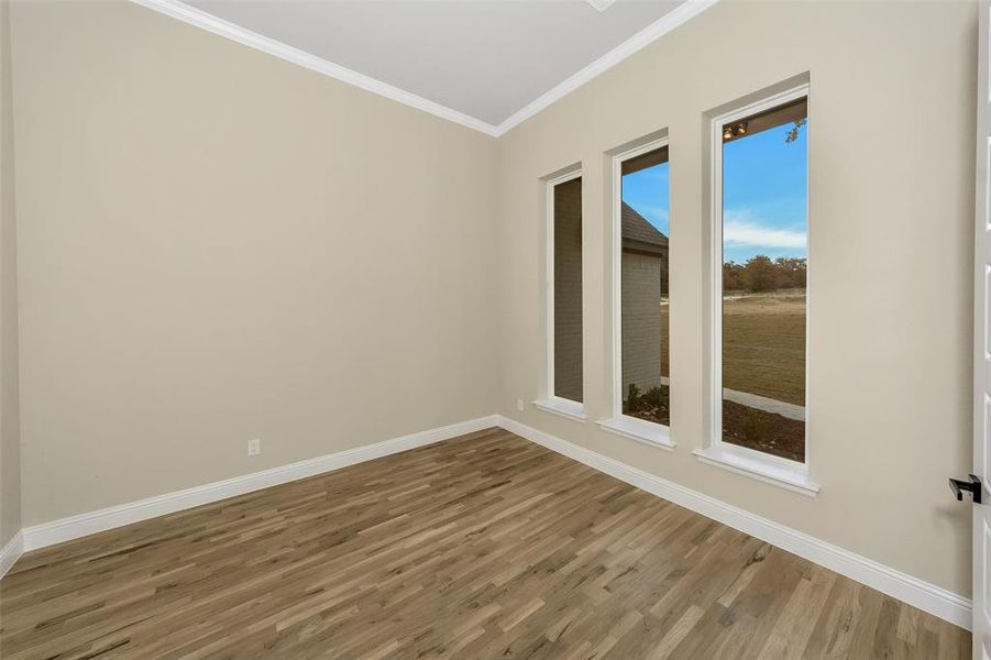 Empty room with wood-type flooring and ornamental molding