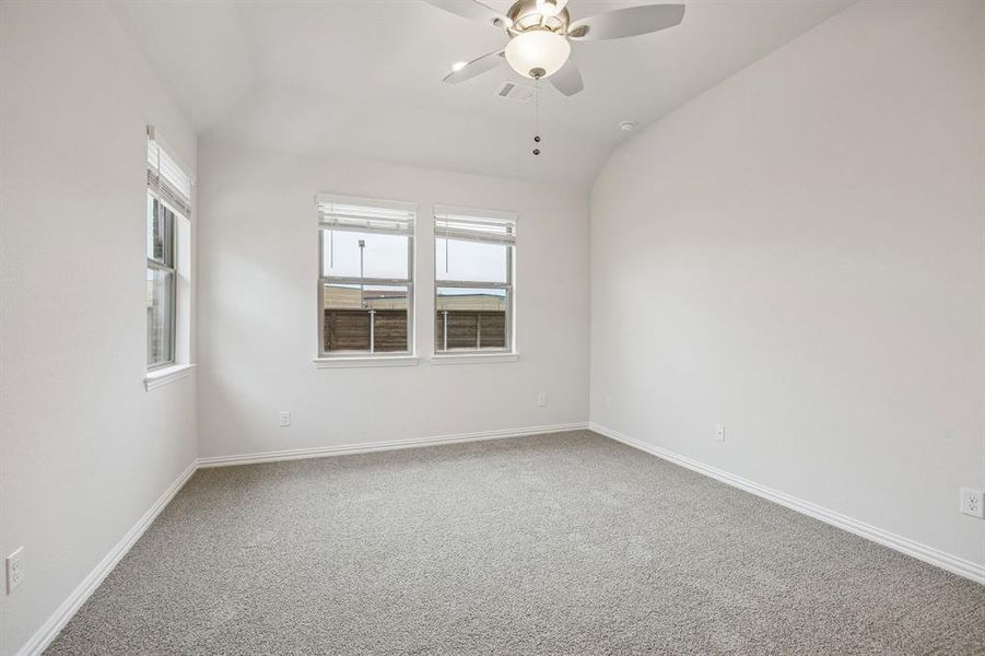 2205 Hazel Lily 2205 Hazel Lily