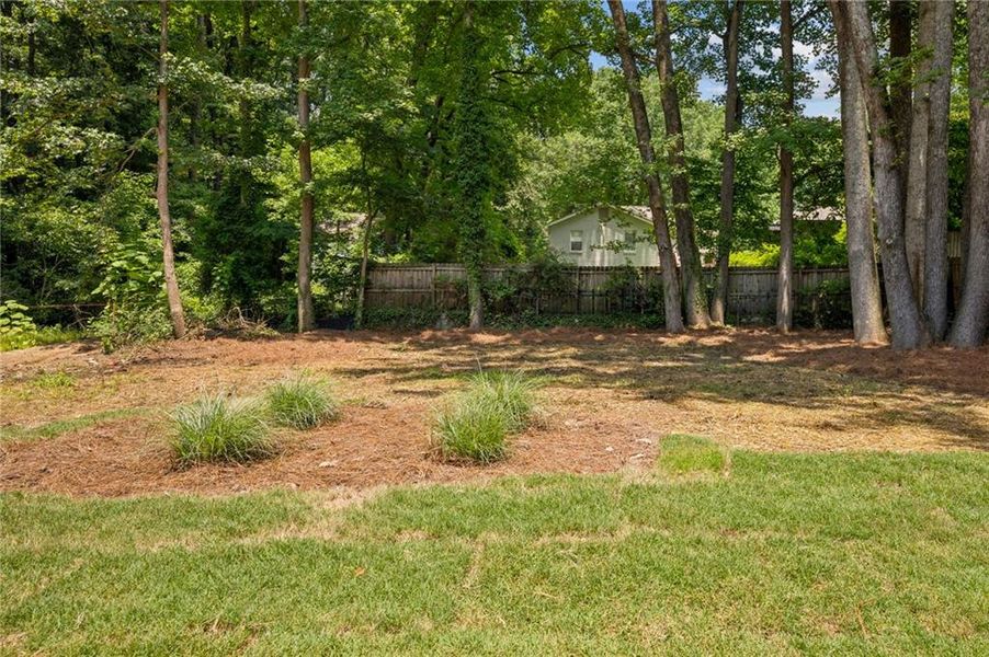Natural landscape and outdoor views near  in Atlanta (Image 27).