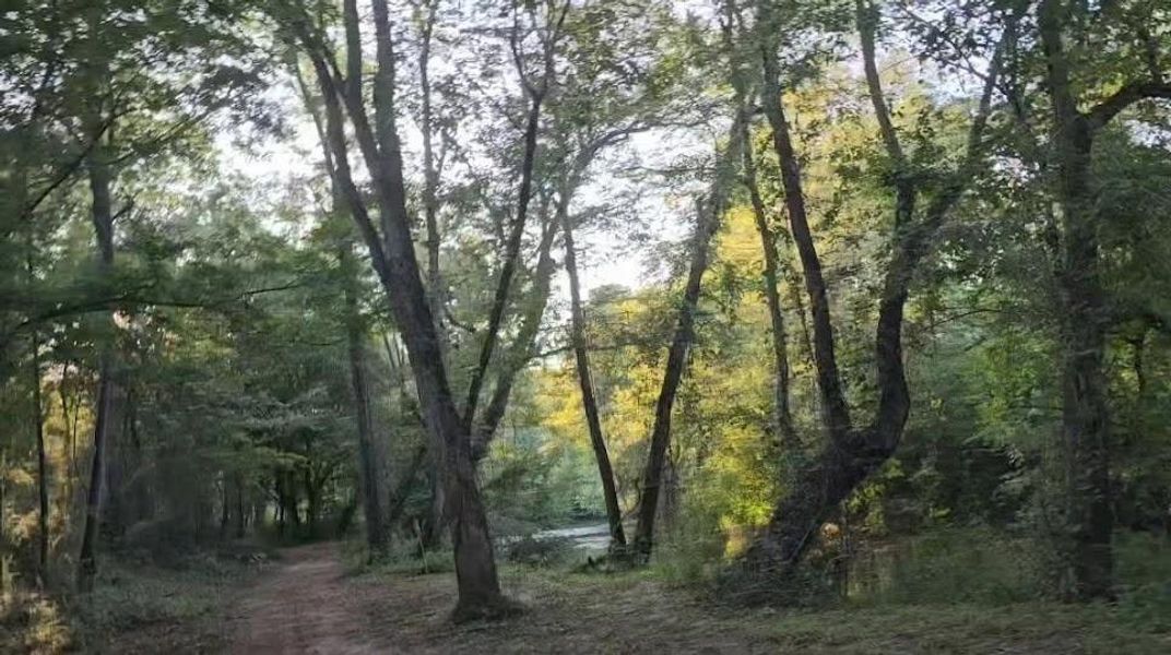 Natural landscape and outdoor views near  in Bowdon (Image 40).