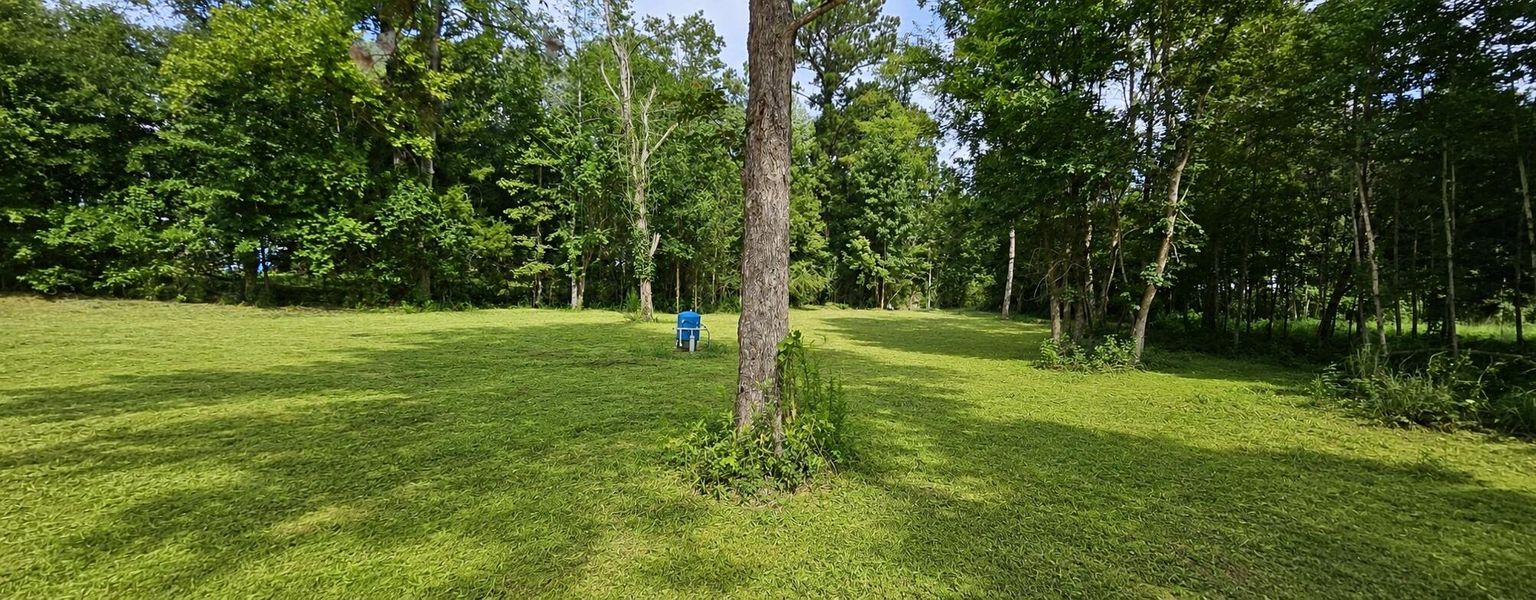 Natural landscape and outdoor views near  in Eutawville (Image 13).