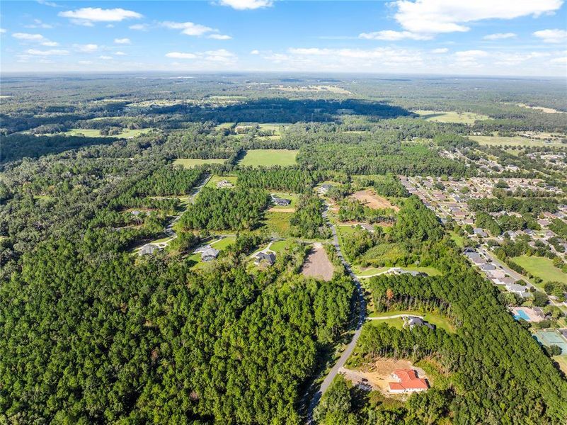 Natural landscape and outdoor views near  in Newberry (Image 14).