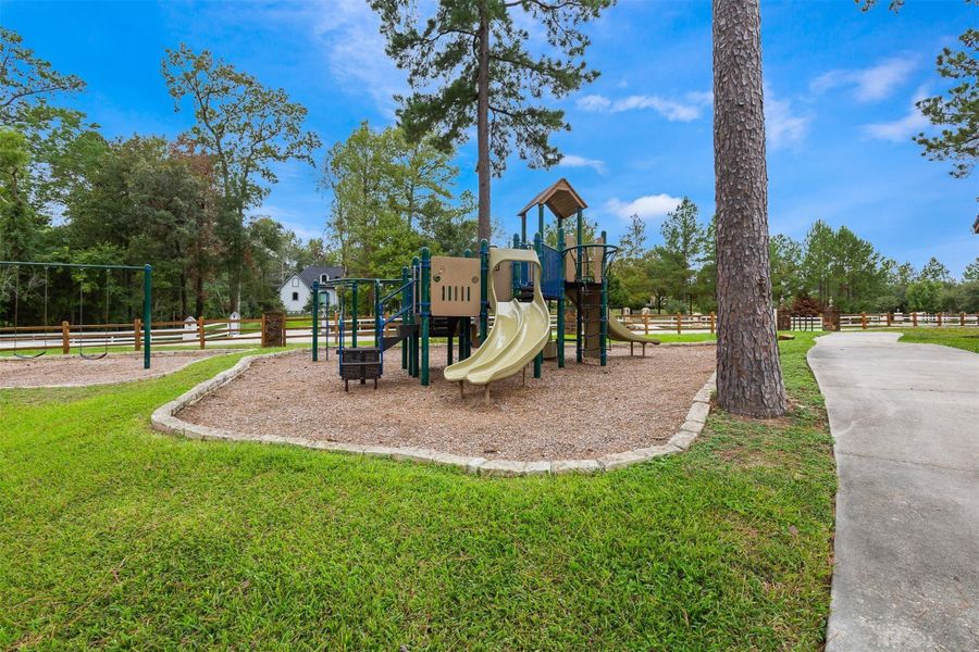 Community amenities in , Conroe (Image 11).