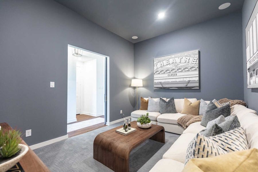 Representative Entertainment Room - some options shown Representative Entertainment Room - some options shown