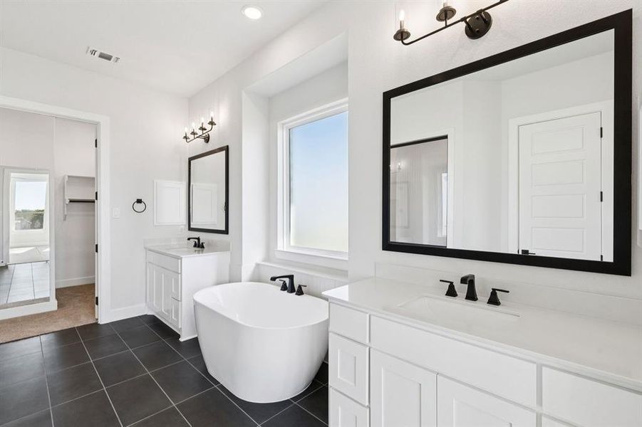 27-121Swan_027 27-121Swan_027