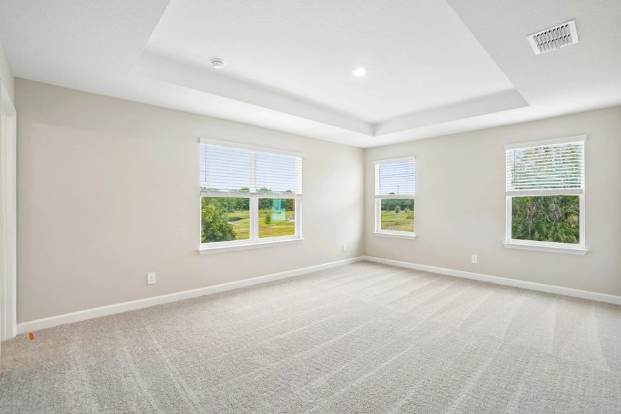 Primary bedroom located off the back of the home feature 4 large windows for optimal light plus a tray ceiling