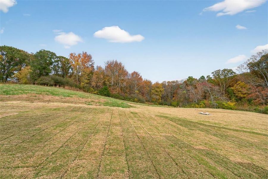 Natural landscape and outdoor views near  in Gainesville (Image 78).