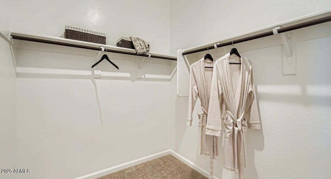 Owners Walk in Closet