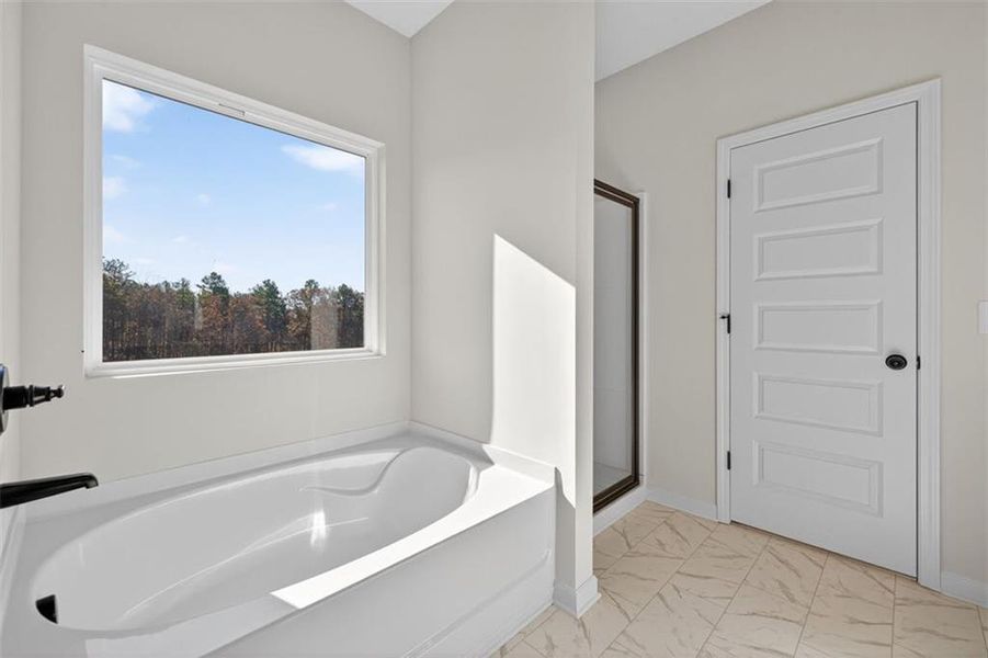 Furnished interior view inside a new home in Kingston Park, Kingston (Image 4).