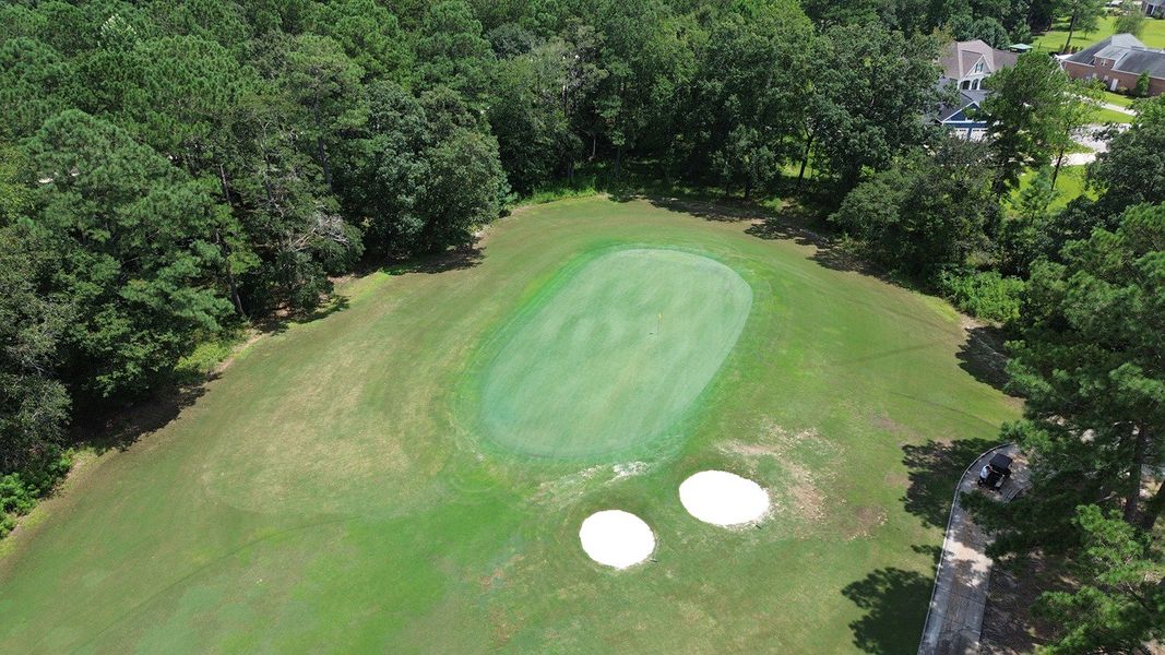 Natural landscape and outdoor views near The Preserve at Shaftesbury Glen in Conway (Image 18).