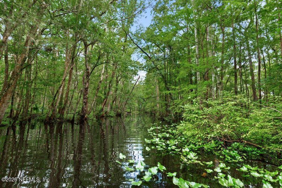 Natural landscape and outdoor views near Trailmark in St. Augustine (Image 81). Natural landscape and outdoor views near Trailmark in St. Augustine (Image 81).