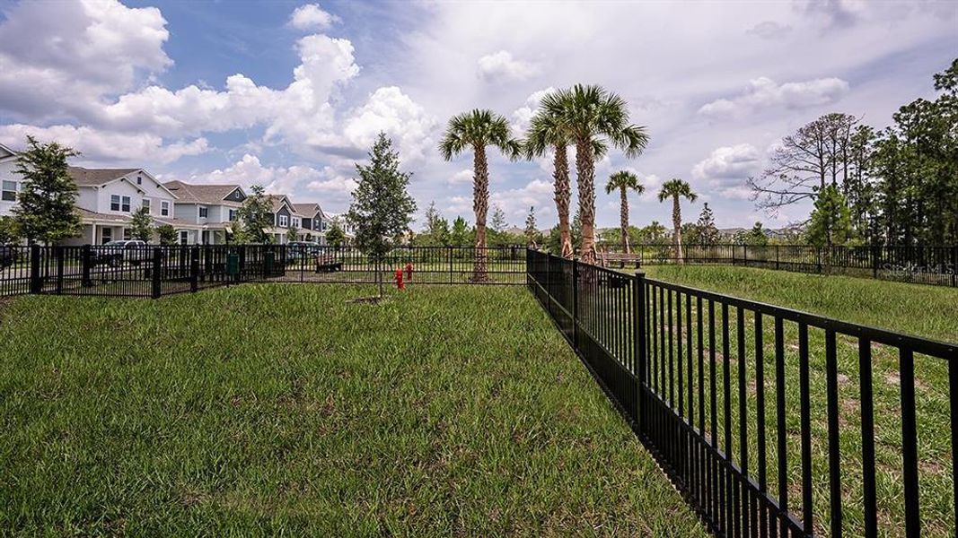 Community amenities in Harvest at Ovation, Winter Garden (Image 48).