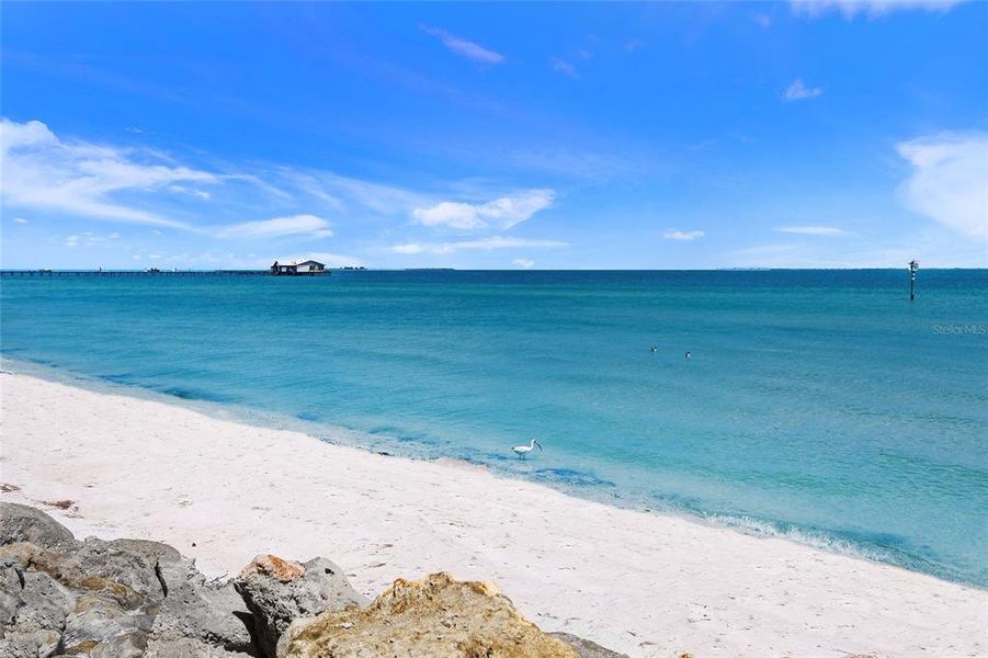 Natural landscape and outdoor views near  in Bradenton (Image 74).