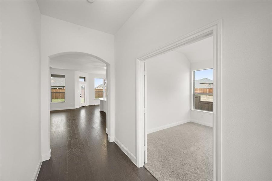 7725 Sweet Sorghum- Entry-2