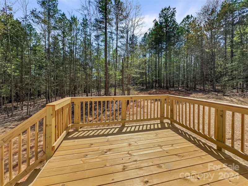 Large back deck