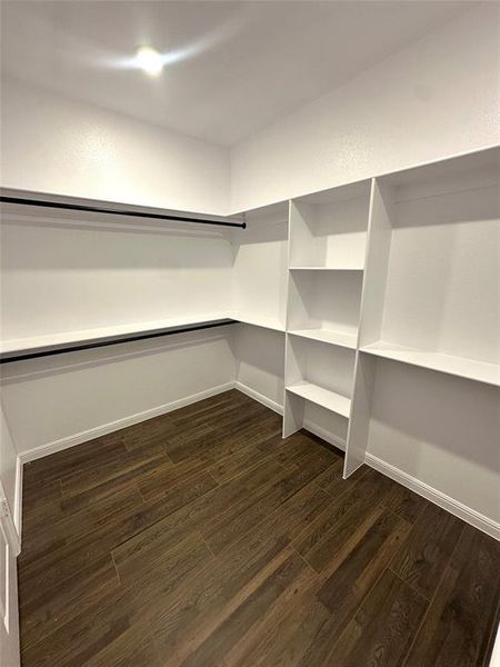 Spacious closet with dark hardwood / wood-style floors