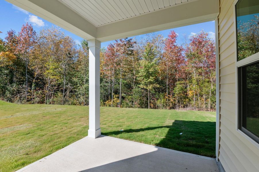 Representative exterior details of a home built from the Falcon by Starlight Homes in Bryson's Ridge - New Homes in Spring Hope, NC, Spring Hope (Image 24).