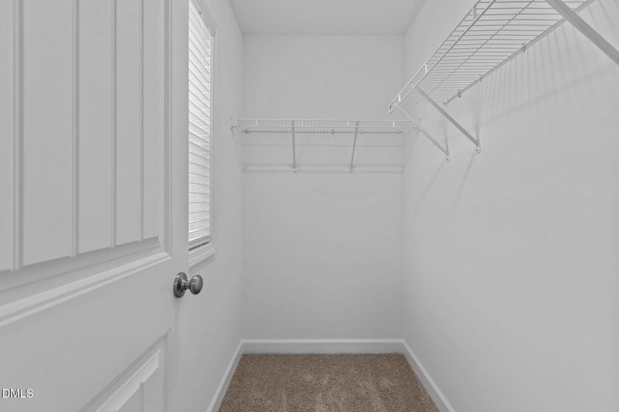 41-web-or-mls-2N6A8661 41-web-or-mls-2N6A8661