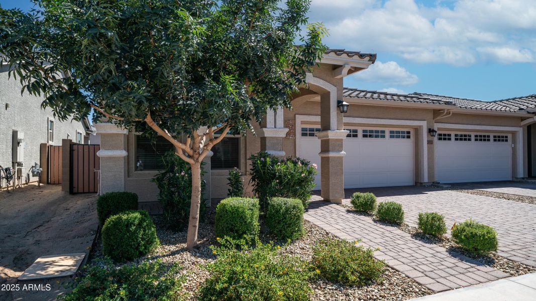 24721 N 171st Ave Exterior Photos-1 24721 N 171st Ave Exterior Photos-1