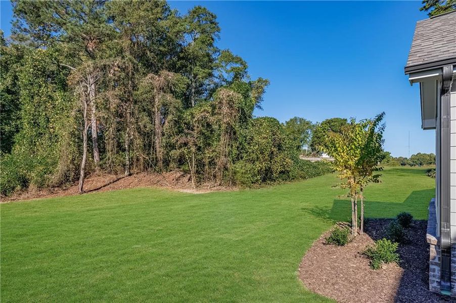 Natural landscape and outdoor views near  in Buford (Image 51).