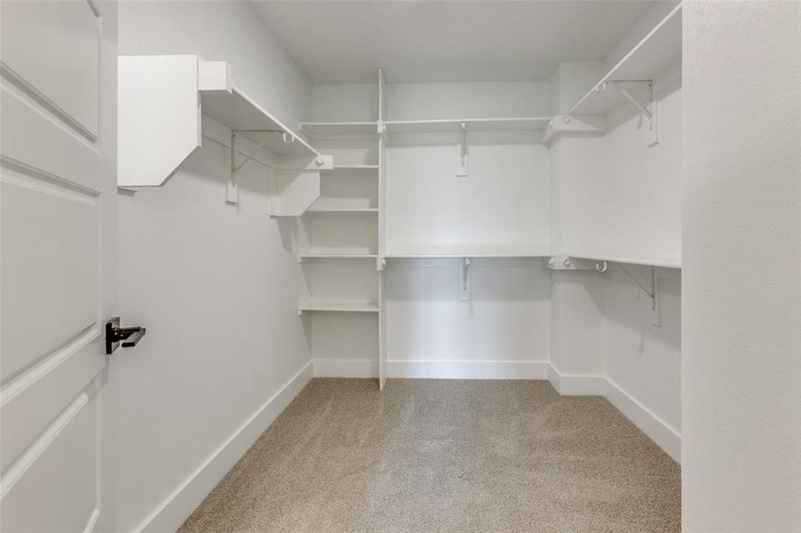 Walk in closet featuring light carpet