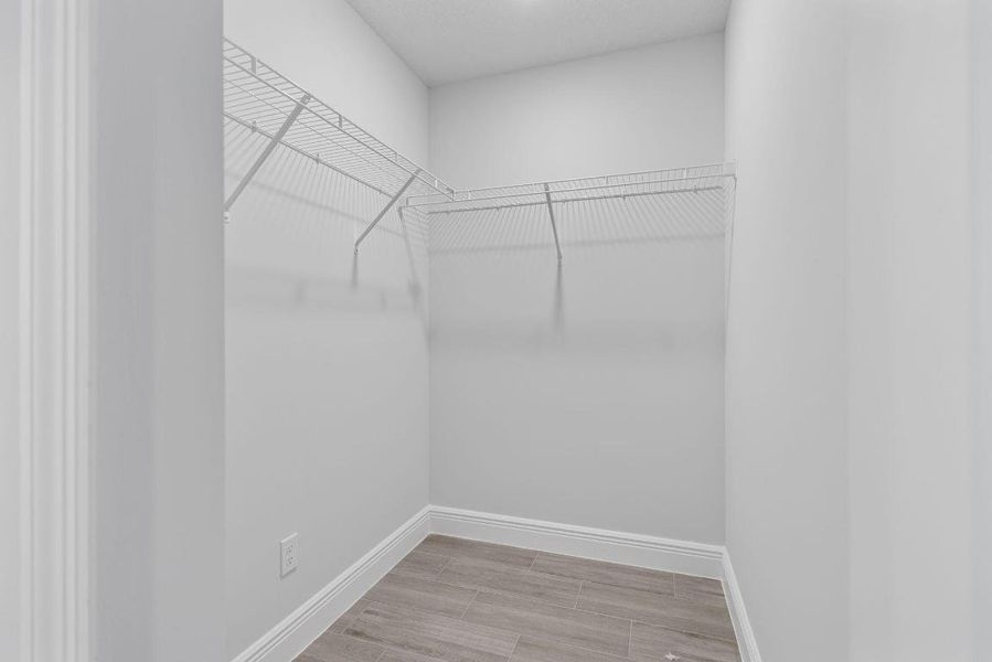 23-web-or-mls-IMG_1350