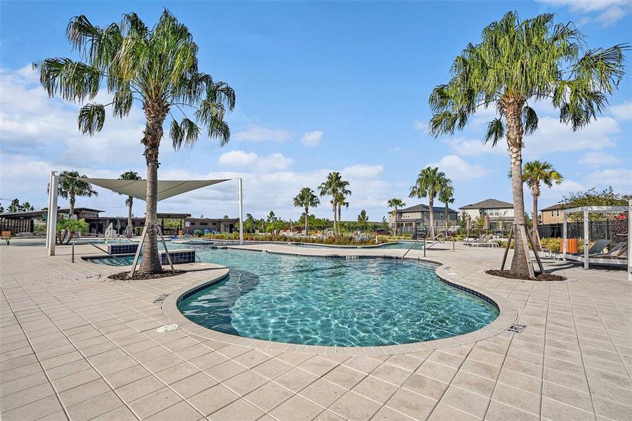 Community amenities in , Wesley Chapel (Image 18). Community amenities in , Wesley Chapel (Image 18).