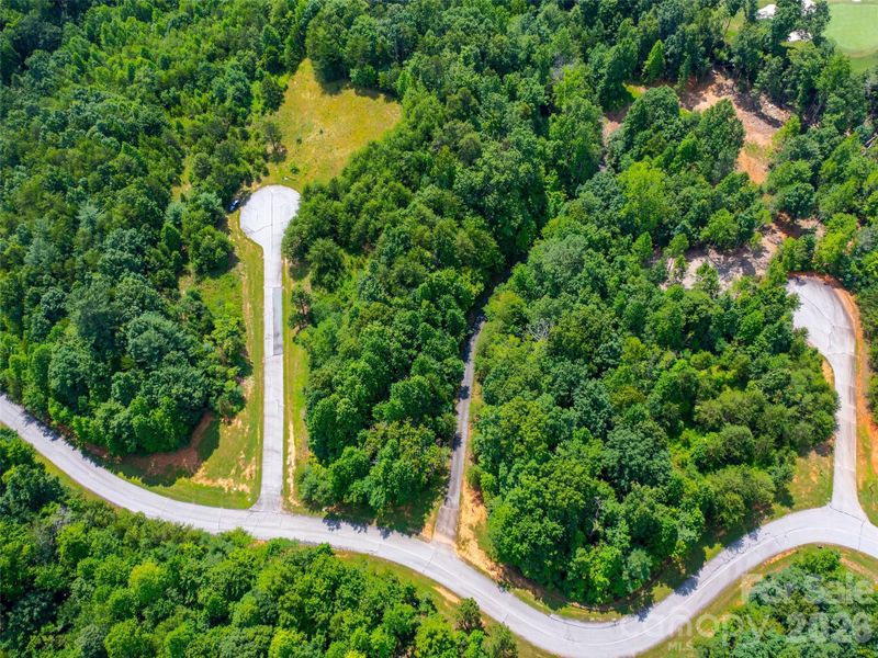 Natural landscape and outdoor views near  in Mill Spring (Image 15).