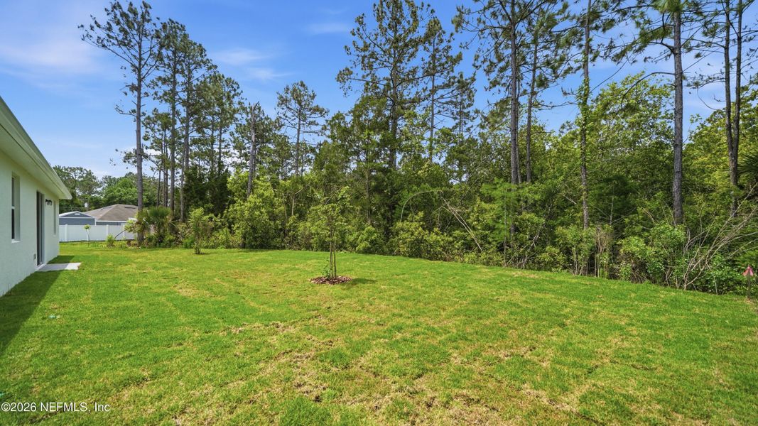 Natural landscape and outdoor views near Palm Coast in Palm Coast (Image 40).