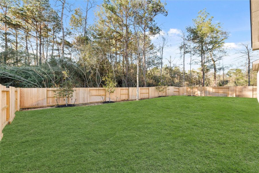 *Grass has been digitally enhanced.