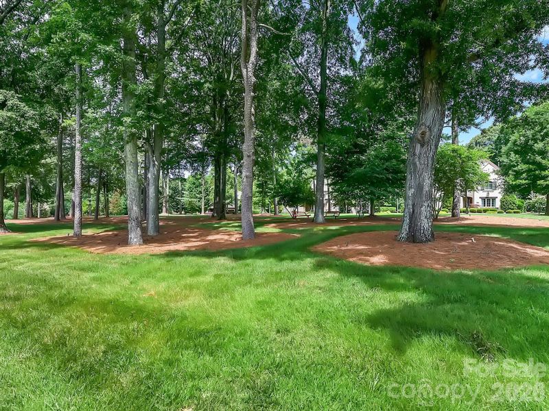 Natural landscape and outdoor views near in Mint Hill (Image 43). Natural landscape and outdoor views near in Mint Hill (Image 43).