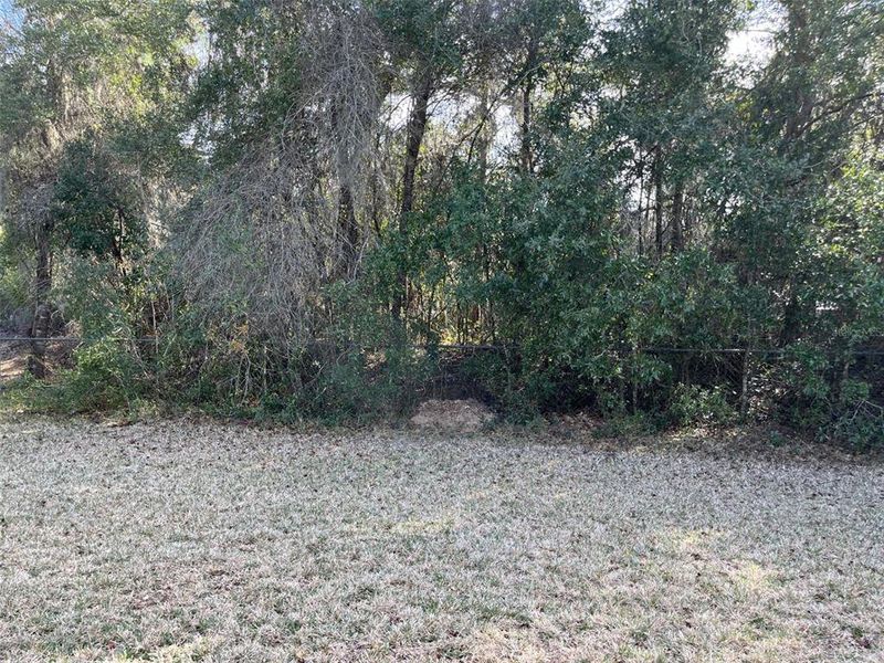 Natural landscape and outdoor views near Grand Park North in Dunnellon (Image 37).