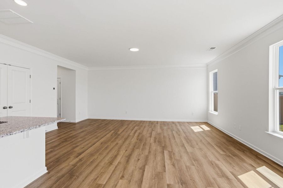 Spacious, unfurnished interior of a new home in Harrington, Greenville (Image 14).