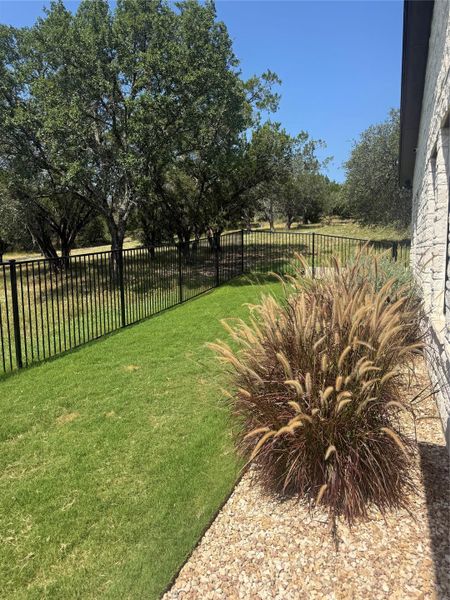 A neatly maintained lawn borders a secure fence and mature trees, creating a peaceful outdoor retreat.