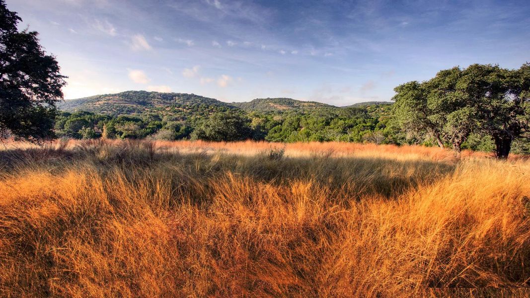 Outdoor and nature views near homes built from the Todd by Drees Custom Homes in Ventana - 60', Bulverde (Image 23).