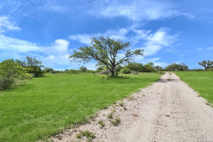 Natural landscape and outdoor views near  in Beeville (Image 19).