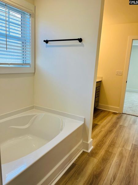 Image 42 of a home in Blythewood Farms.