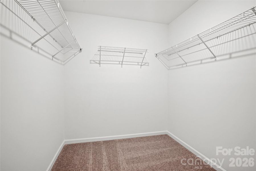 Representative Photo