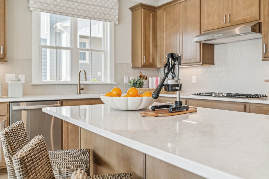 Furnished interior view inside a new home in Holding Village, Wake Forest (Image 6).