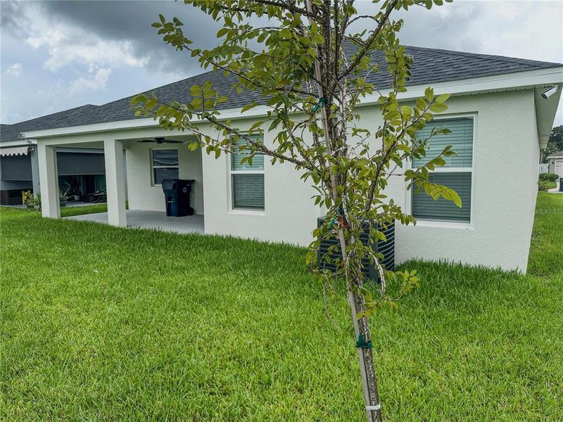 Front exterior of a new home in , Auburndale, FL, highlighting curb appeal (Image 2). Front exterior of a new home in , Auburndale, FL, highlighting curb appeal (Image 2).