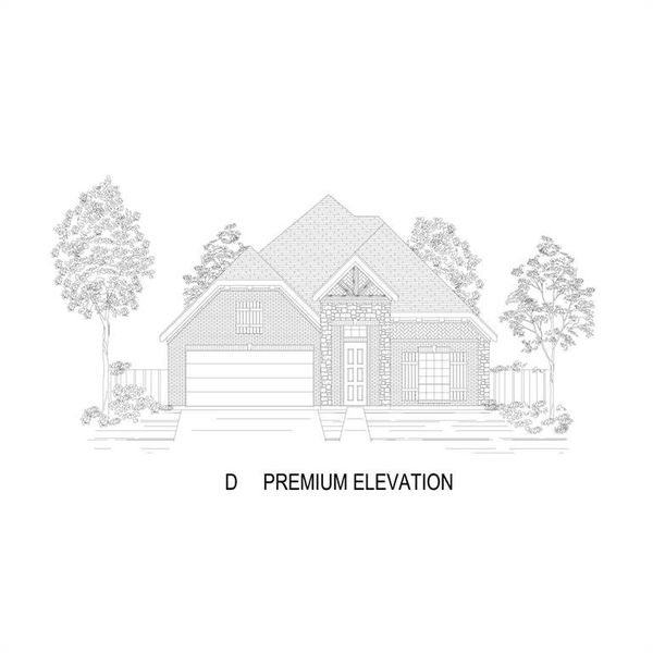 Elevation D