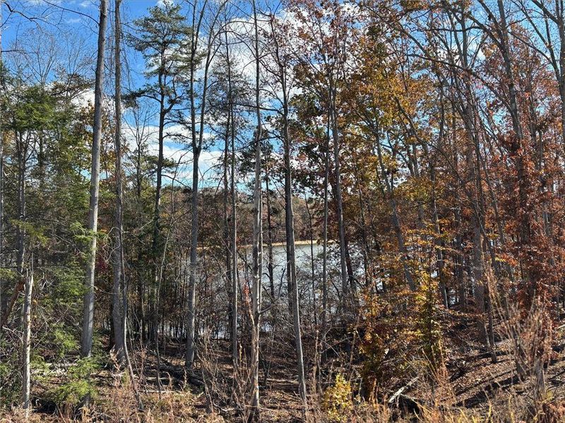 Natural landscape and outdoor views near East Harbor II at Chestatee in Dawsonville (Image 26). Natural landscape and outdoor views near East Harbor II at Chestatee in Dawsonville (Image 26).