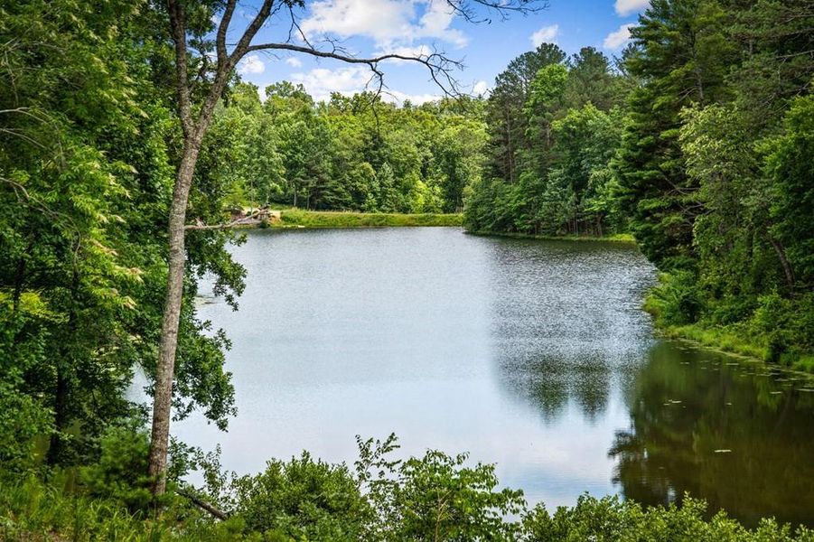 Natural landscape and outdoor views near in Ellijay (Image 92). Natural landscape and outdoor views near in Ellijay (Image 92).