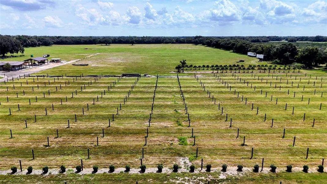 Natural landscape and outdoor views near  in Wauchula (Image 41).