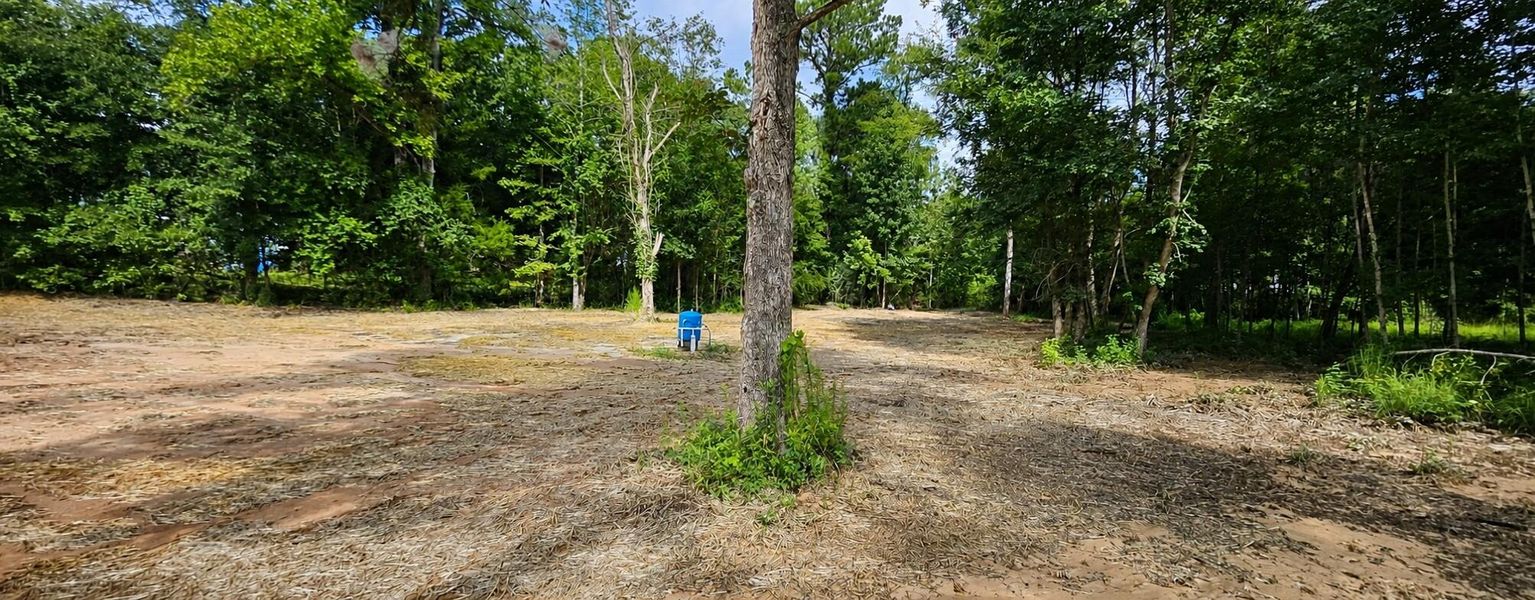 Natural landscape and outdoor views near  in Eutawville (Image 15).