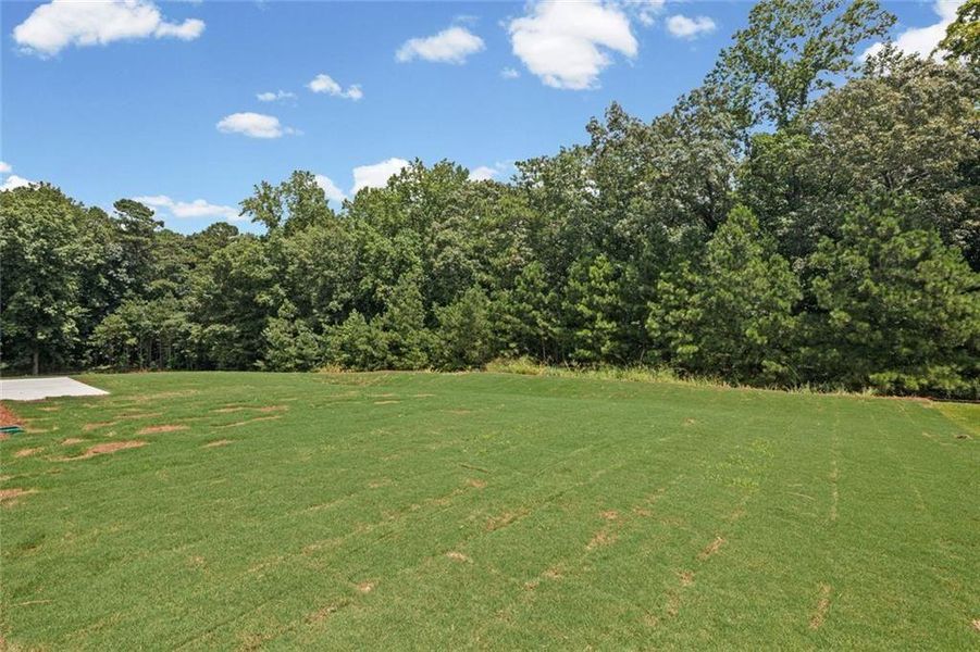 Natural landscape and outdoor views near Pickens Bluff in Dallas (Image 41).