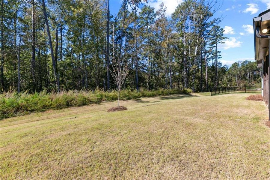 Natural landscape and outdoor views near  in Peachtree City (Image 34).