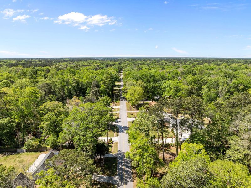 Natural landscape and outdoor views near  in Johns Island (Image 40).